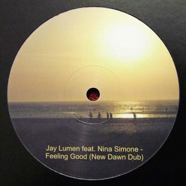 Jay Lumen Feat. Nina Simone – Feeling Good